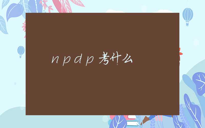 npdp考什么